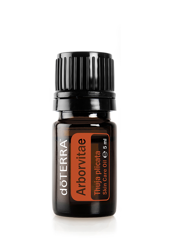 doTERRA Arborvitae - Lebensbaum