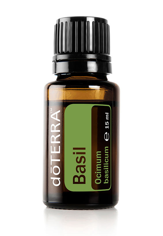 doTERRA Basilikum