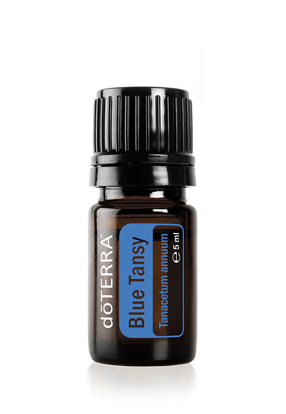 doTERRA Blauer Rainfarn