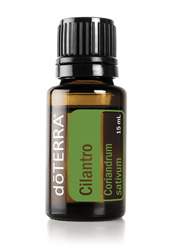 Cilantro doterra-poweroele.de Cilantro