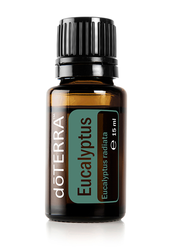 doTERRA Eukalyptus