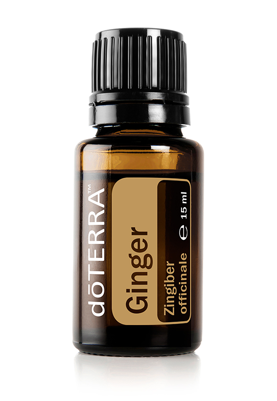 dotERRA Ginger Ingwer