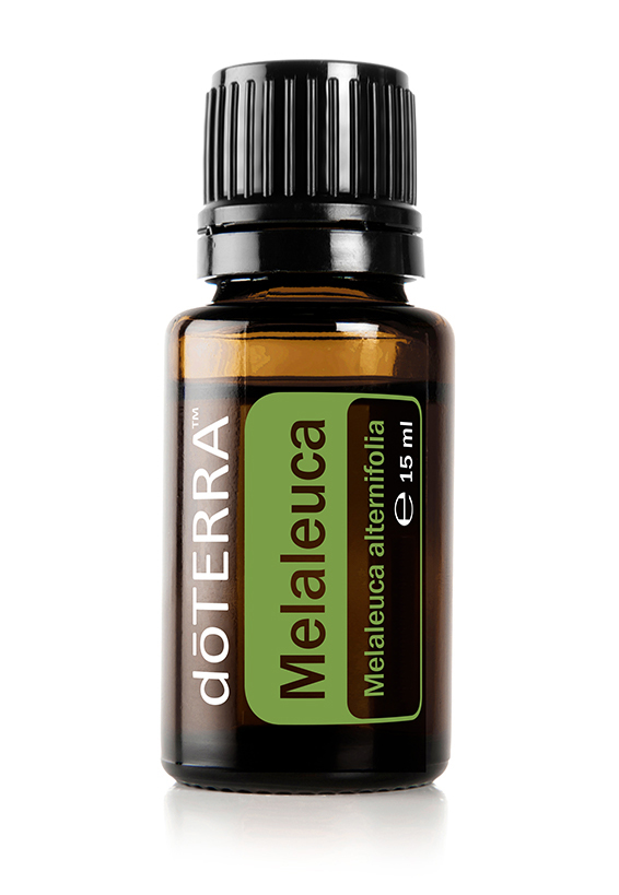 Melaleuca doTERRA Melaleuca (Teebaumöl)