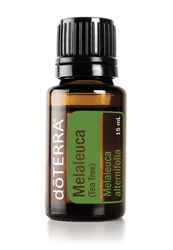 Teebaumoel doterra-poweroele.de Teebaumöl 15 ml