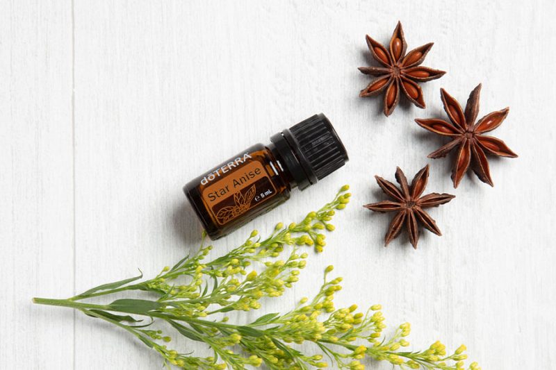 Star-Anise-600×900