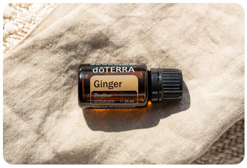 Ginger