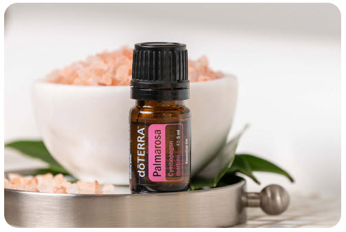 doterra Palmarosa