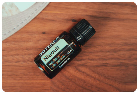 niaouli doTERRA
