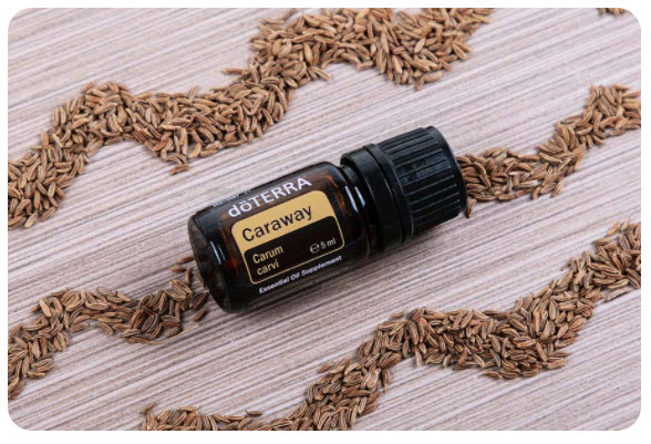 doterra-caraway-produkt-des-monats-september-2020 doTERRA Caraway (Kümmel)