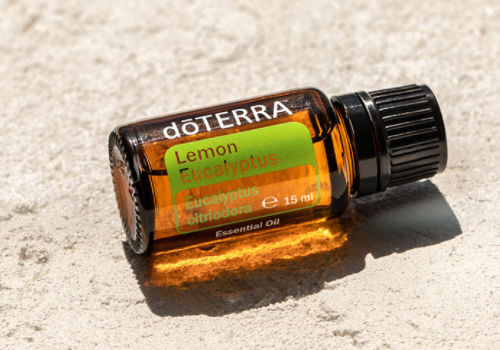 doTERRA Lemon Eucalyptus Produkt des Monats Februar 2021