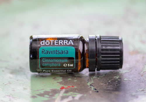 doTERRA Ravintsara